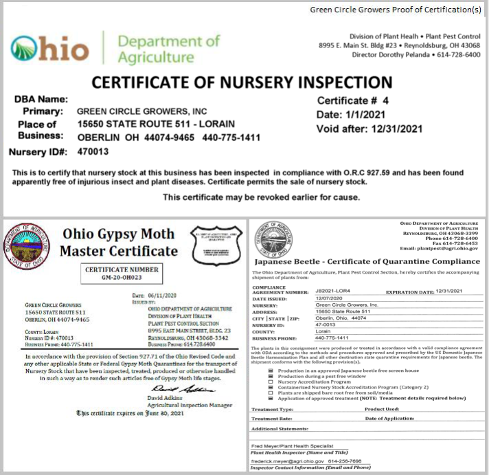 Certificate 2021